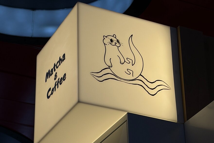 An illuminated cube sign for a matcha and coffee store with a design showing an otter wearing glasses. 