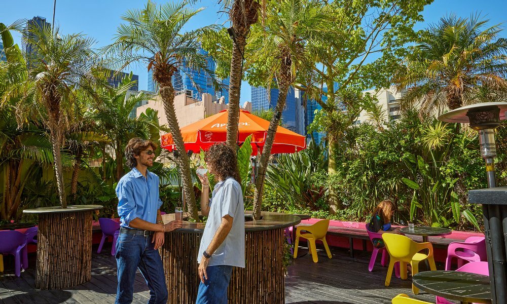 Two people talking and having a drink on a rooftop surrounded by palm trees, colour seats and umbrellas and a city skyline.
