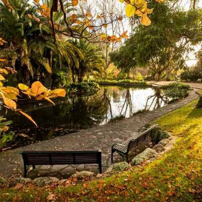 The best autumn walks in Melbourne