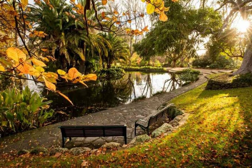 The best autumn walks in Melbourne