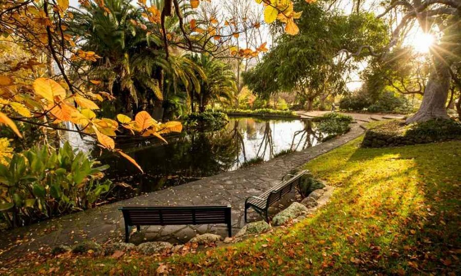 An autumn garden