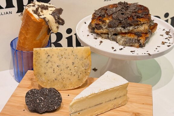 Selection of hard and soft cheeses, toastie and baguette on a plate and board.