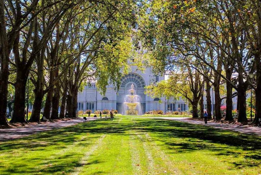 A tall white building behind a row of trees in a park