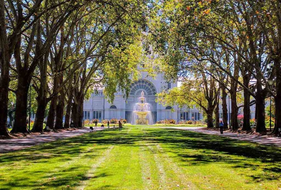 A tall white building behind a row of trees in a park