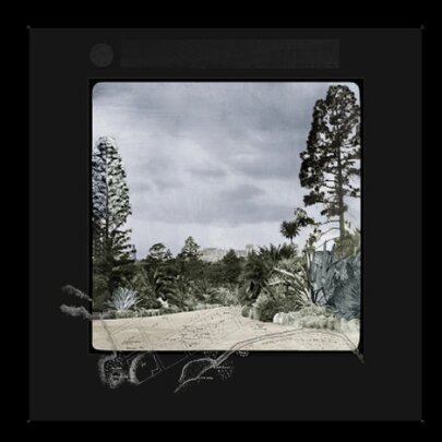 Julie Shiels: Unsettling the Landscape