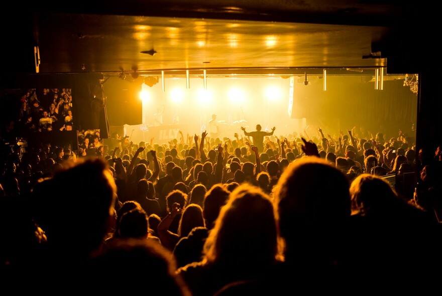 Audience enjoying a performer on stage.