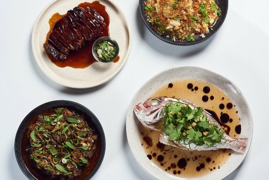 Four plates of food on a white background.