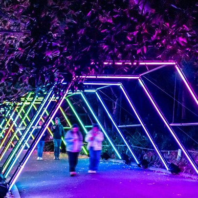Melbourne's essential night-time events