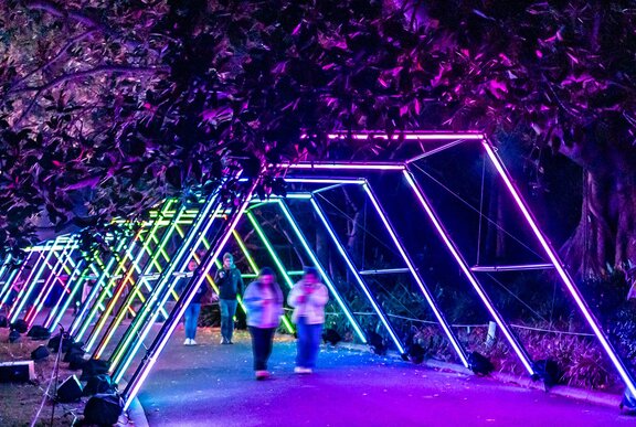 Melbourne's essential night-time events