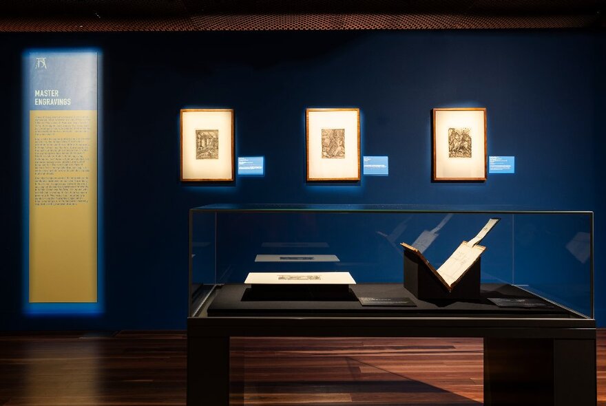 A display cabinet of books with framed prints on the walls in the background.