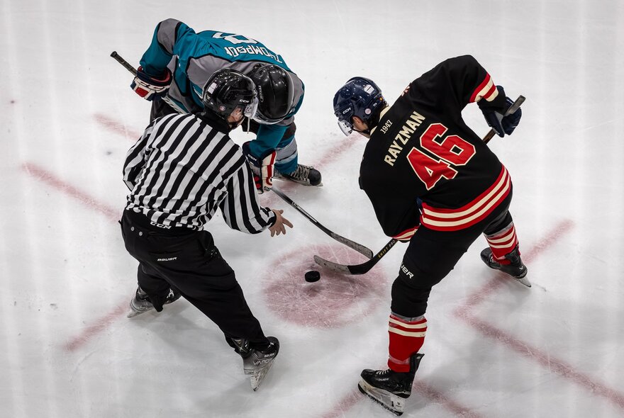 Three ice hockey players on the ice during a game.