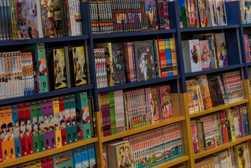 Shelves of carefully curated books.