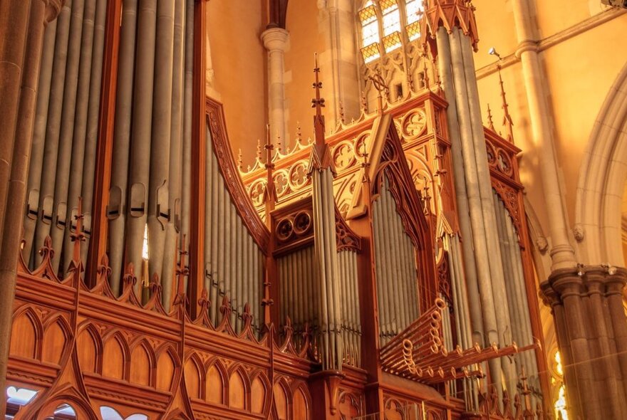 The interior of St Patrick's Cathedral in Melbourne  showing the organ. 