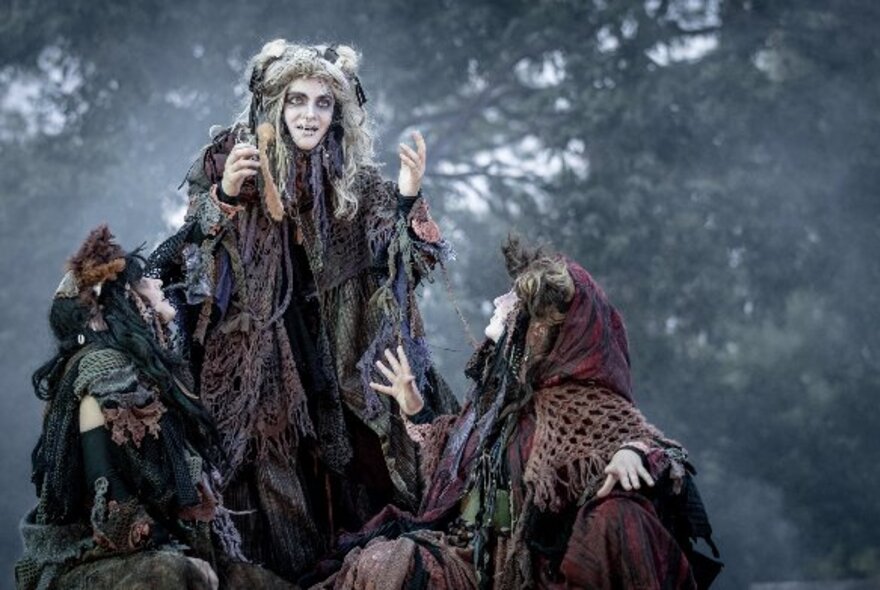 Actors dressed as the ragged witches from the play Macbeth, performing outdoors in the Royal Botanic Gardens at twilight.