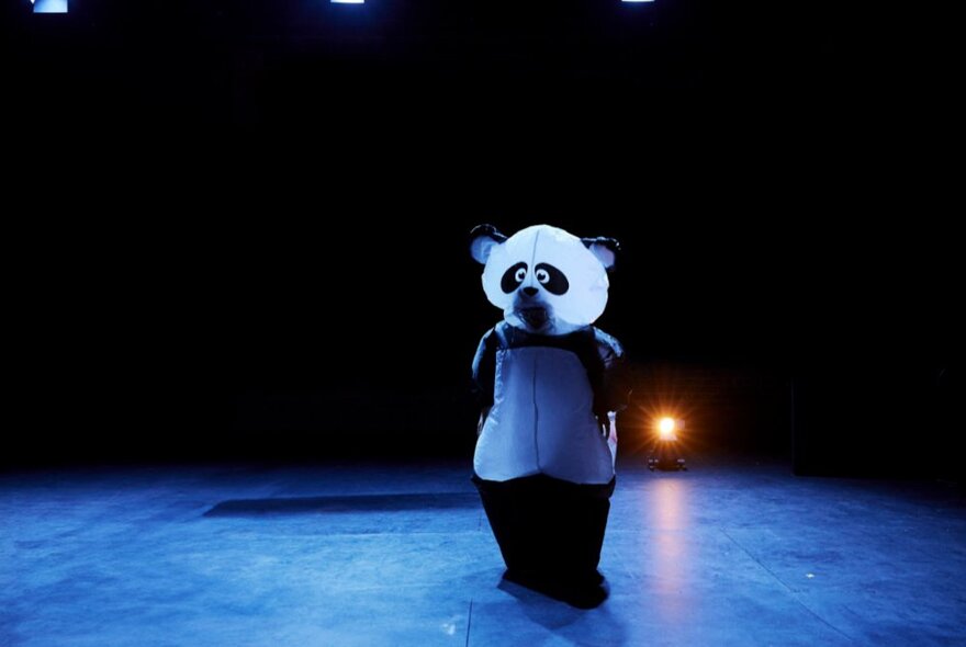 A person standing on a theatre stage wearing a full size panda costume.