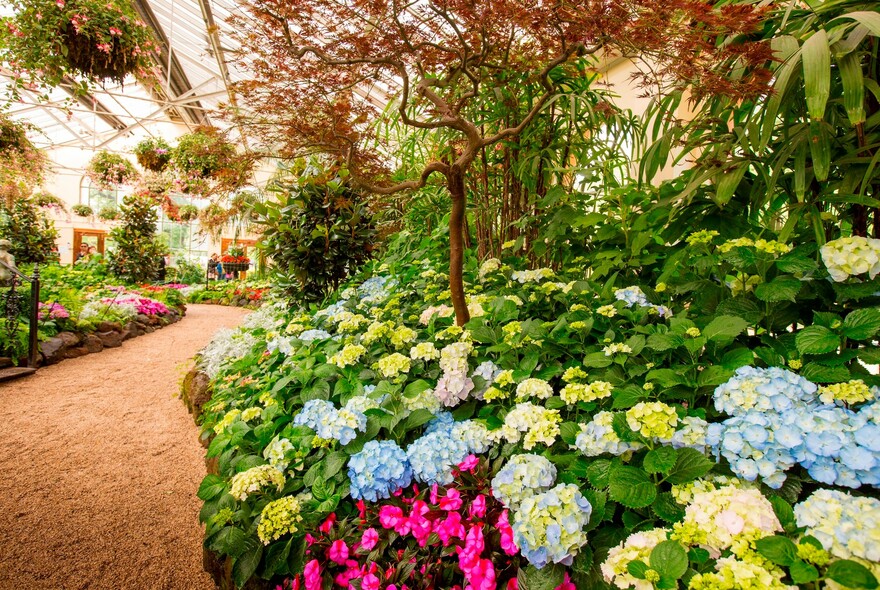 Floral display inside the Conservatory in Fitzroy Gardens.