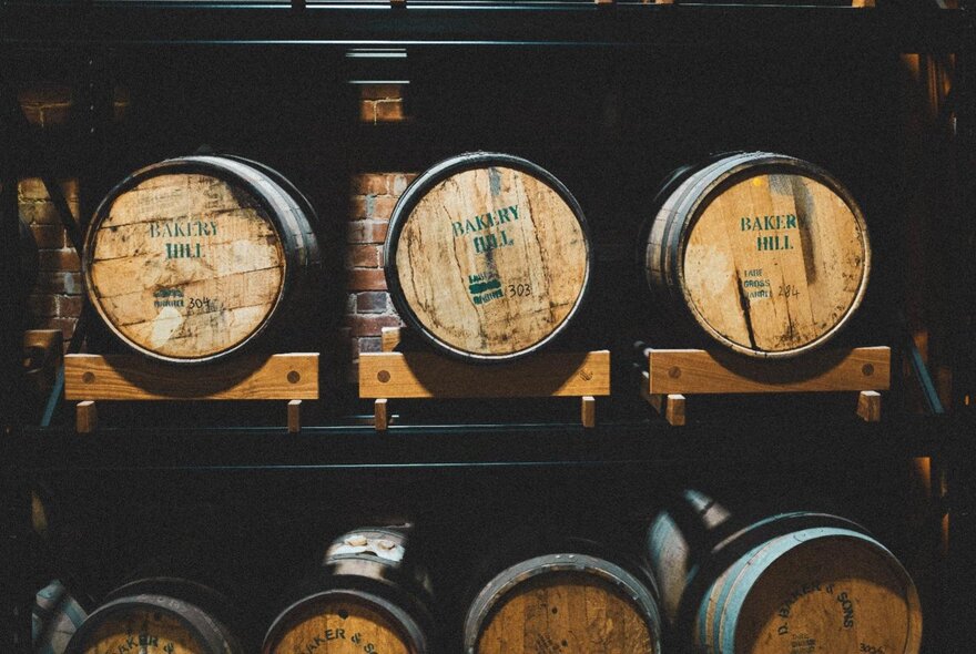 Oak barrels lined up in a brick-lined cellar.
