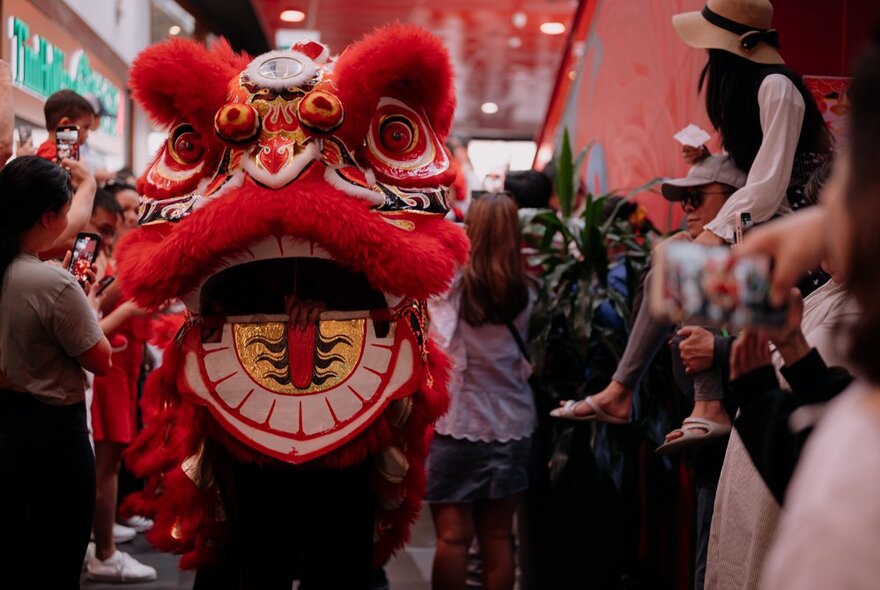 A lion dance welcoming in the Lunar New Year inside a retail shopping plaza, with a crowd of onlookers watching.