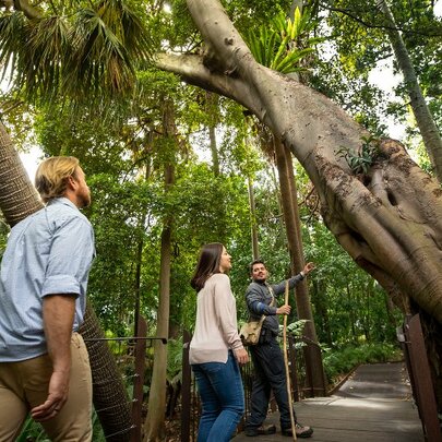 Aboriginal Heritage Walk 