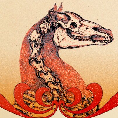 The Wonder Horse! The Life and Afterlife of Phar Lap