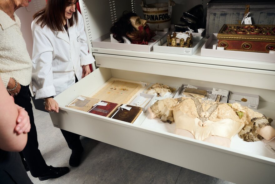 People looking into a museum drawer.