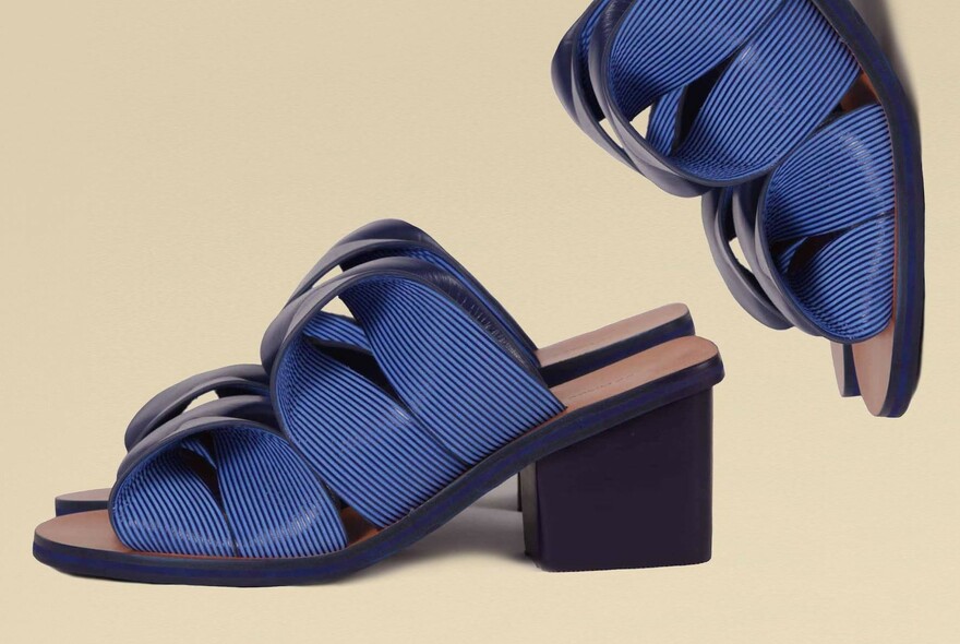 Blue ladies sandals.