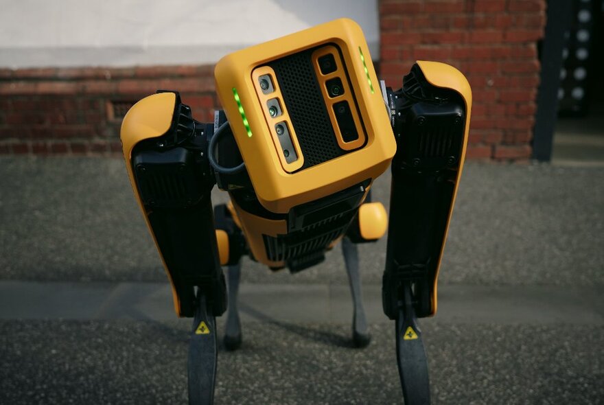 AI four-legged robot with orange panel for face and black legs.