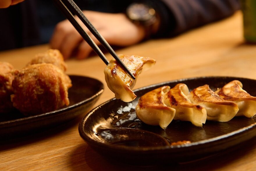 A plate of Japanese gyoza dumplings