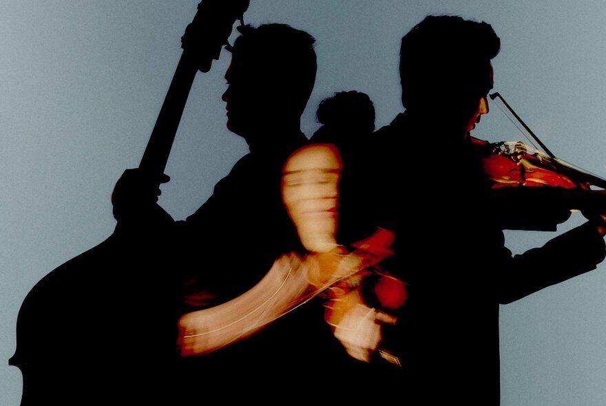 Silhouettes of musicians playing instruments, with their instruments in colour and blurred but the human figures in solid black.