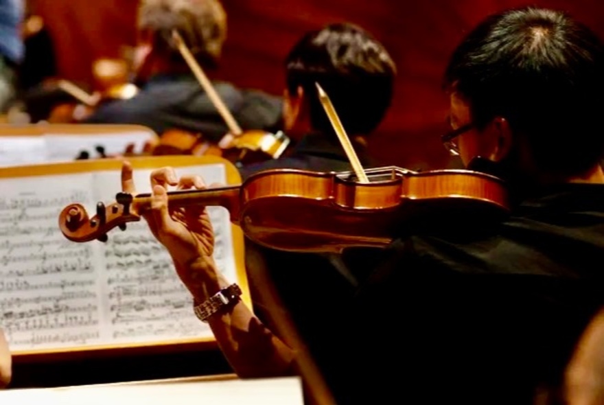 String section of an orchestra with violins and music stands with score.