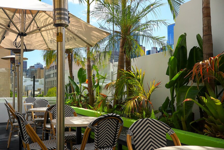 The Palmz Rooftop bar at the Carlton Club, a tropical-themed rooftop bar featuring palm trees, lush greenery, tables and chairs. 