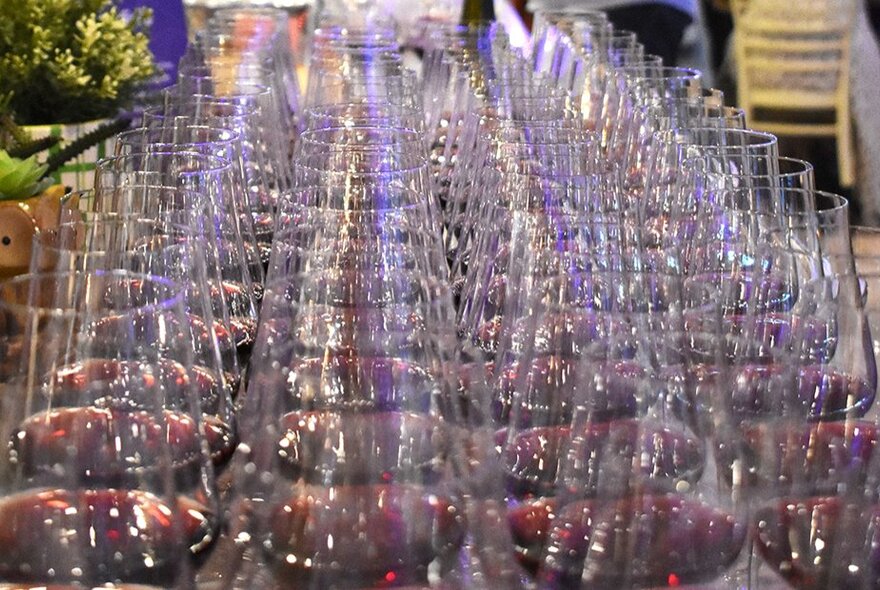 A line of many glasses all with a small taster or red wine in them. 
