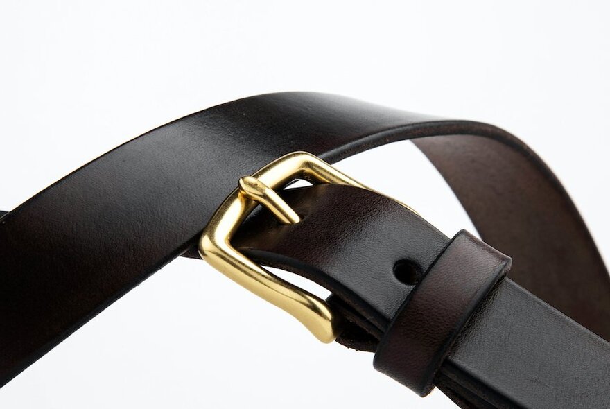 Close-up of a black leather belt with a gold metal buckle.