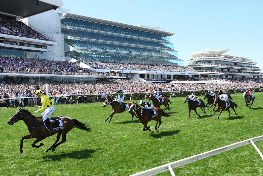 Horses racing down the straight at Flemington Racecourse on a sunny day. 