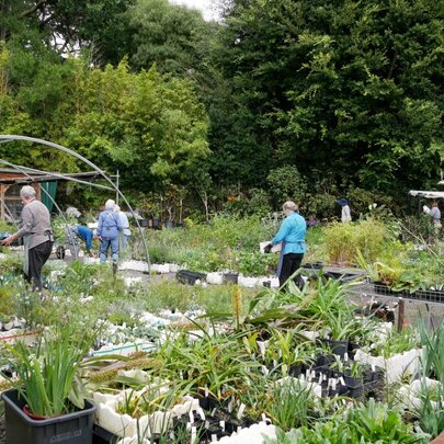 Melbourne Friends Plant Sale