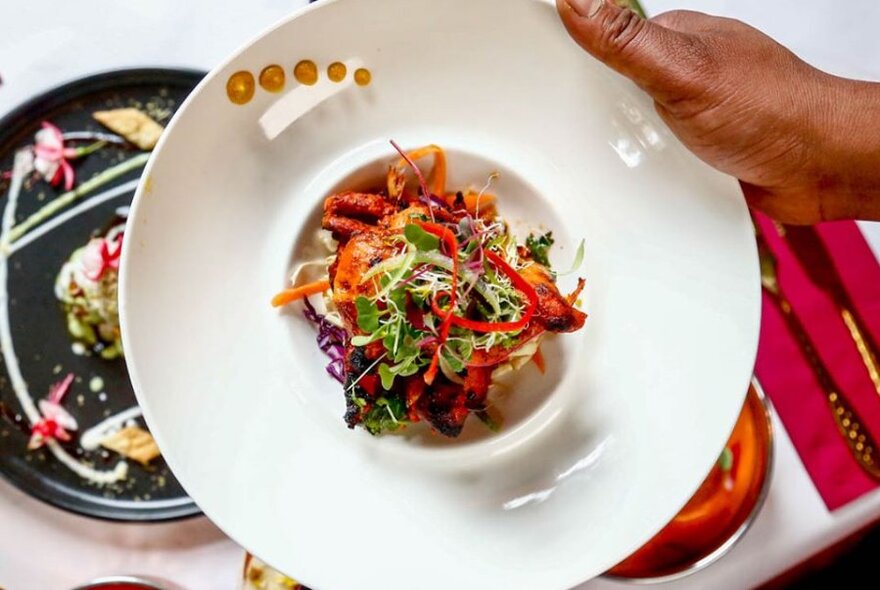 A hand holding a plate of Dungar chicken salad.