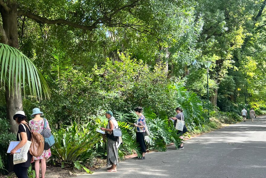 A group of people standing along a paved pathway lined with lush trees and ferns, participating in an outdoor nature journaling or sketching activity.