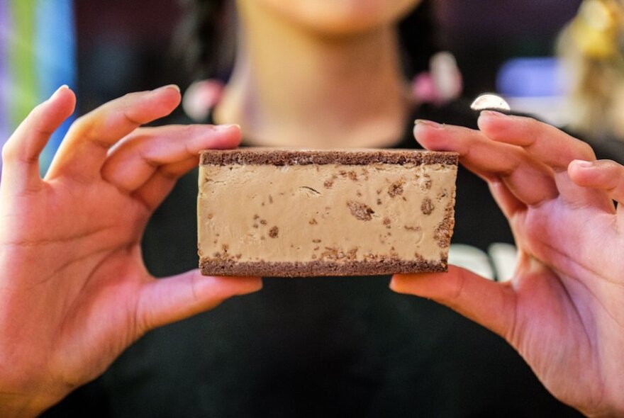 Hands holding up an ice cream sandwich.