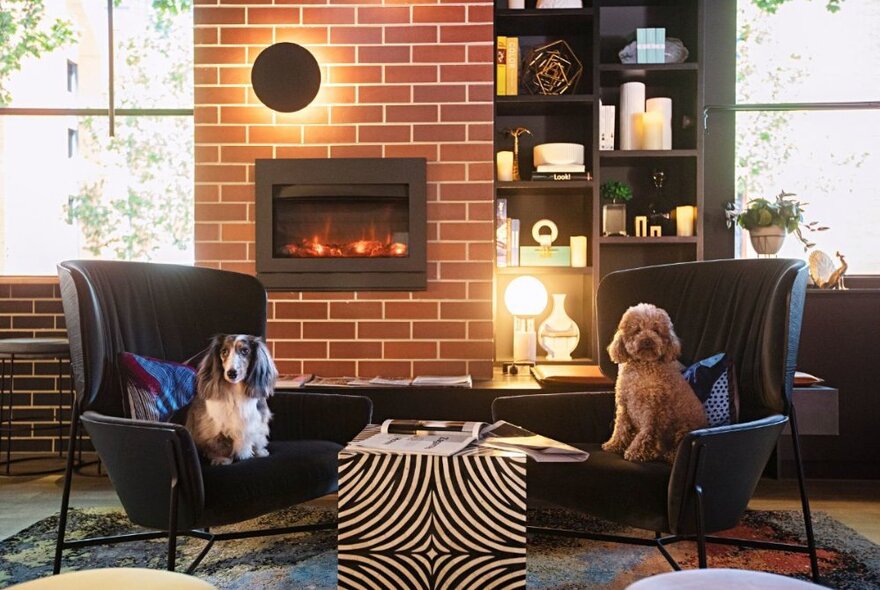 Two dogs sitting in a hotel room in front of a fire.