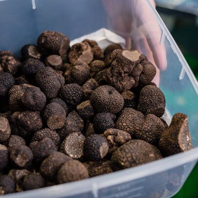 Queen Vic Market Ultimate Truffle Tour