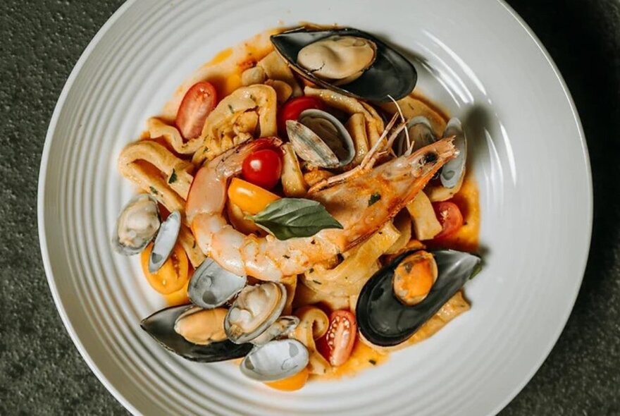 A seafood marinara with a large prawn in the centre, muscles and calamari, presented in a large white bowl.