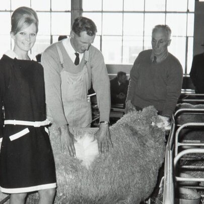 Designing with Wool: Australian Wool Board's Fashion Impact 