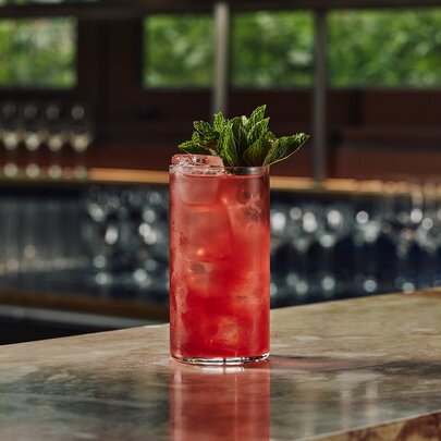 A tall red cocktail with leafy garnish.