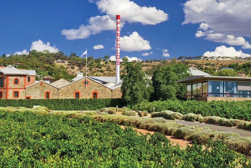 Penfolds winery with vines and historic buildings.