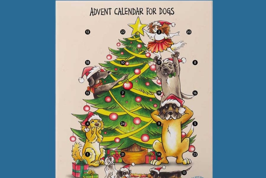 A wall hanging with a cartoon Christmas tree and dogs on it, the dogs wearing a red santa hat, with the words at the top of it reading ADVENT CALENDAR FOR DOGS.
