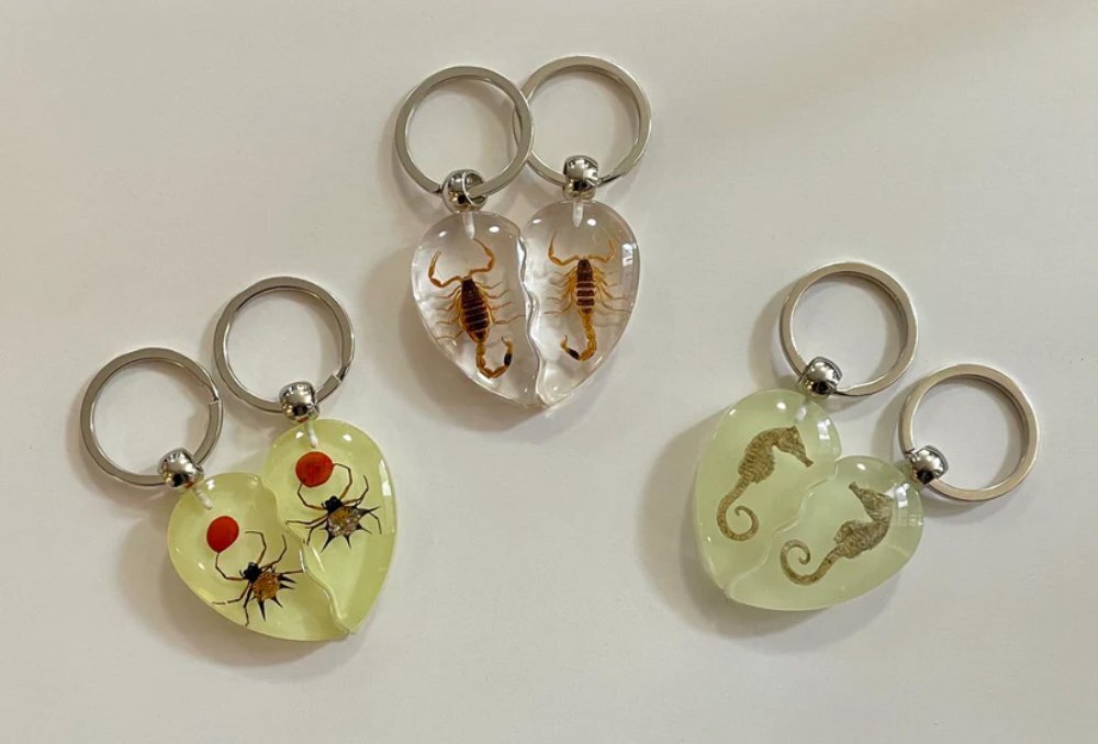 Three sets of heart-shaped keyrings with tiny animal fossils inside.