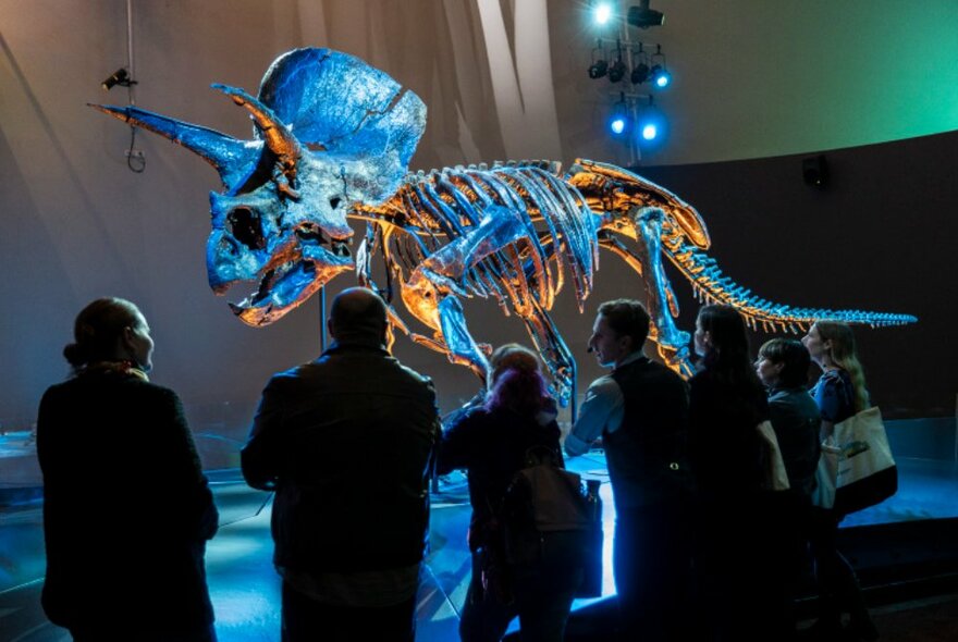 The most complete Triceratops skeleton in the world, on display at the Melbourne Museum with silhouettes of people in the foreground.