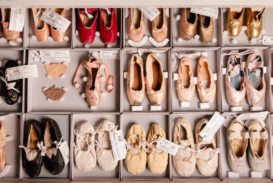 Display boxes of pointe ballet slippers with labels.