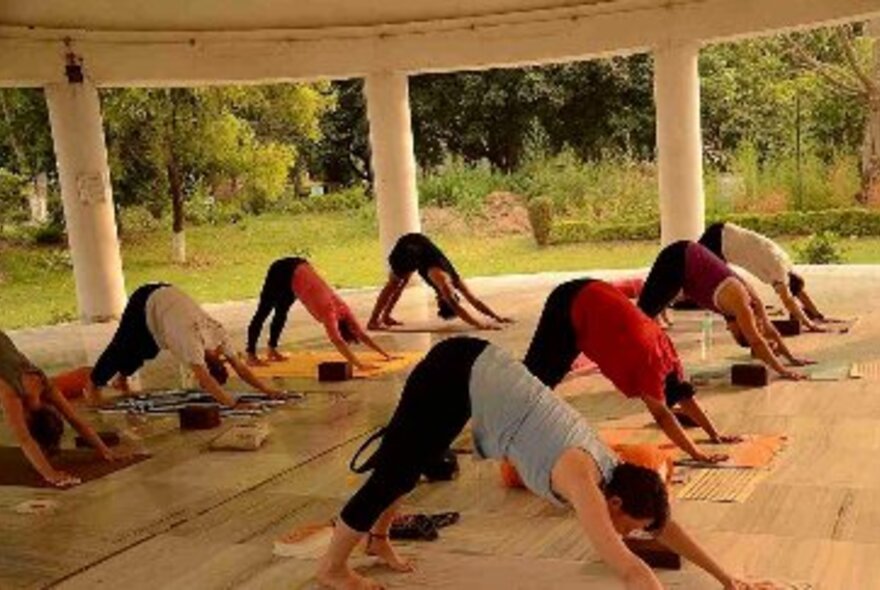 People indoors performing yoga moves their bottoms in the air. 
