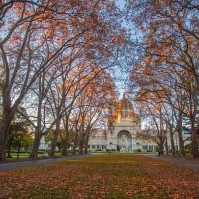 Where to get coffee for your next park walk in Melbourne